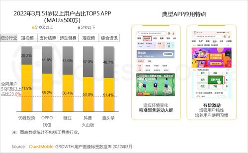 QuestMobile 2022中國移動互聯網春季大報告 研發與維護領域的挑戰與機遇